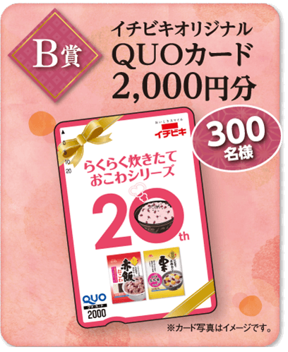 B賞　イチビキオリジナルQUOカード2,000円分