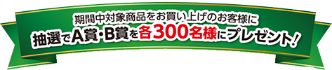 抽選でA賞・B賞を各300名様にプレゼント！
