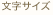 文字サイズ