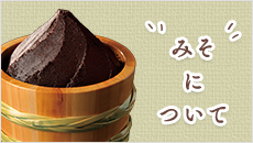 みそについて