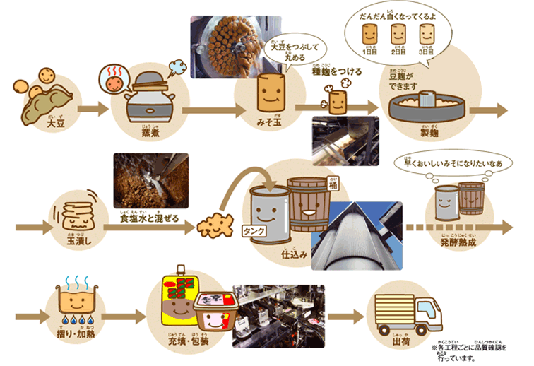 豆みそができるまで