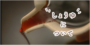 しょうゆについて