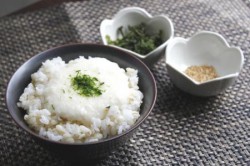 とろろかけごはん