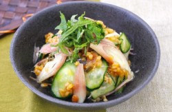 夏野菜の金山寺あえ
